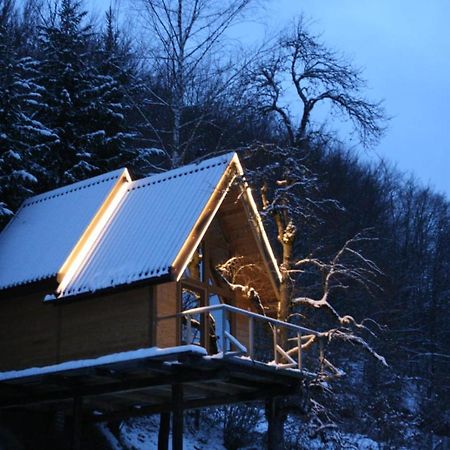 Tree House - Tara Place Mojkovac Dış mekan fotoğraf