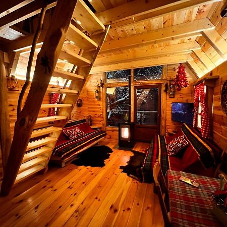 Tree House - Tara Place Mojkovac Dış mekan fotoğraf