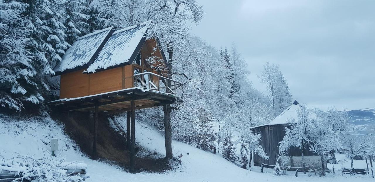 Tree House - Tara Place Mojkovac Dış mekan fotoğraf