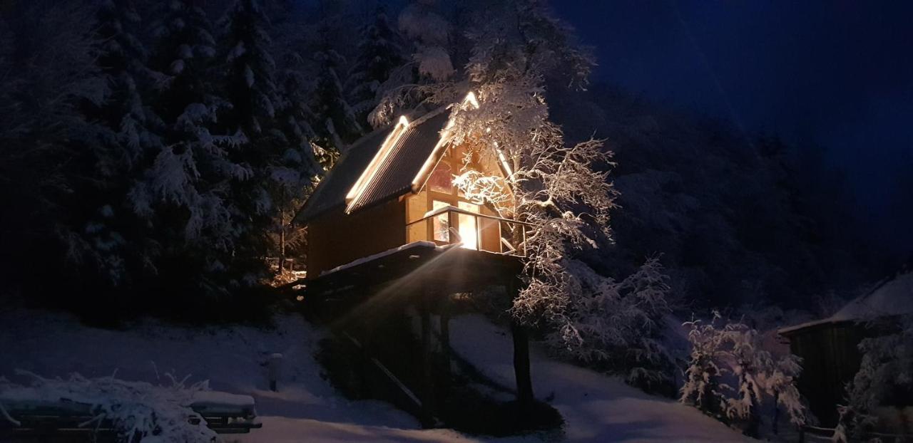 Tree House - Tara Place Mojkovac Dış mekan fotoğraf