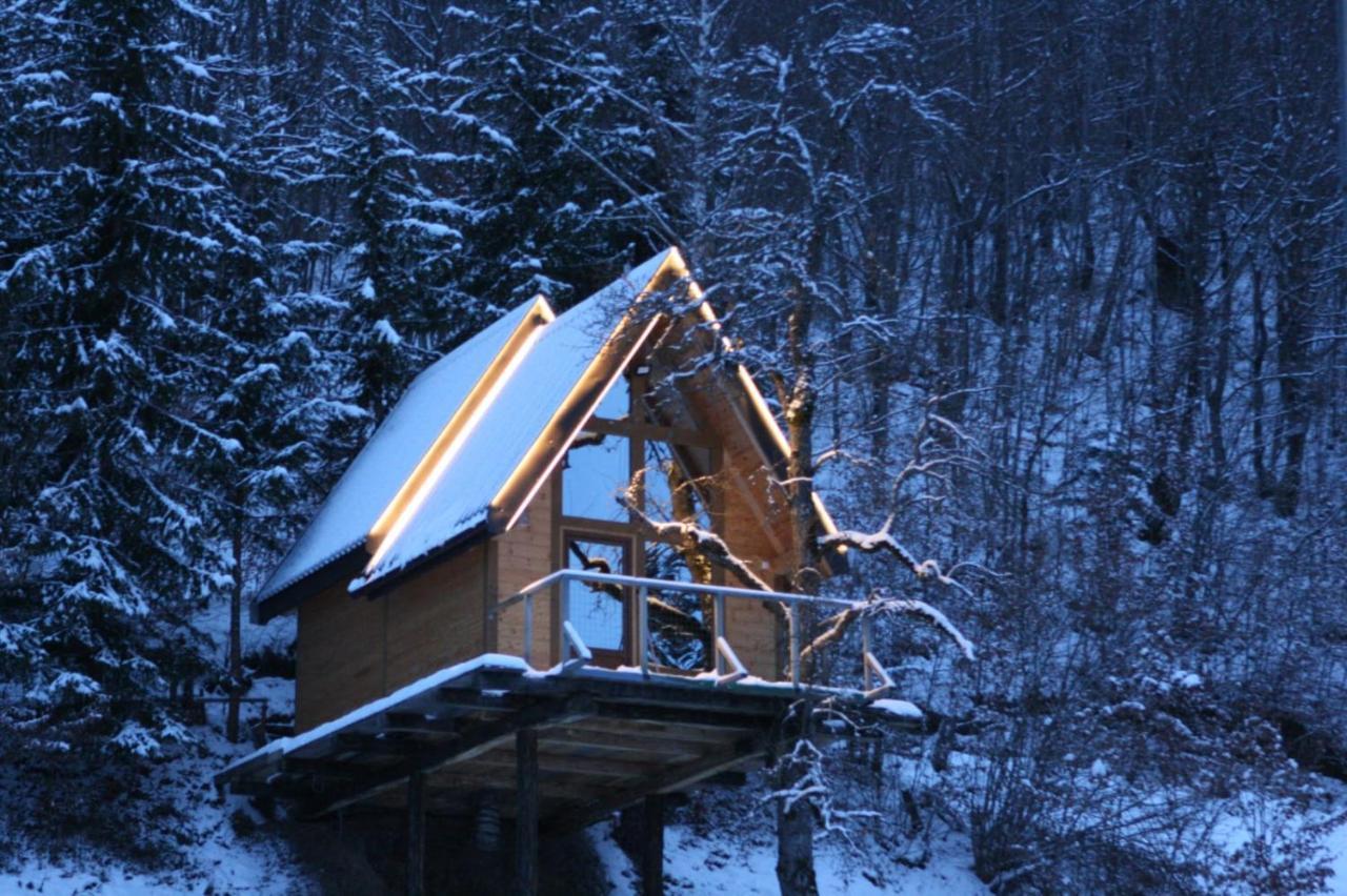 Tree House - Tara Place Mojkovac Dış mekan fotoğraf