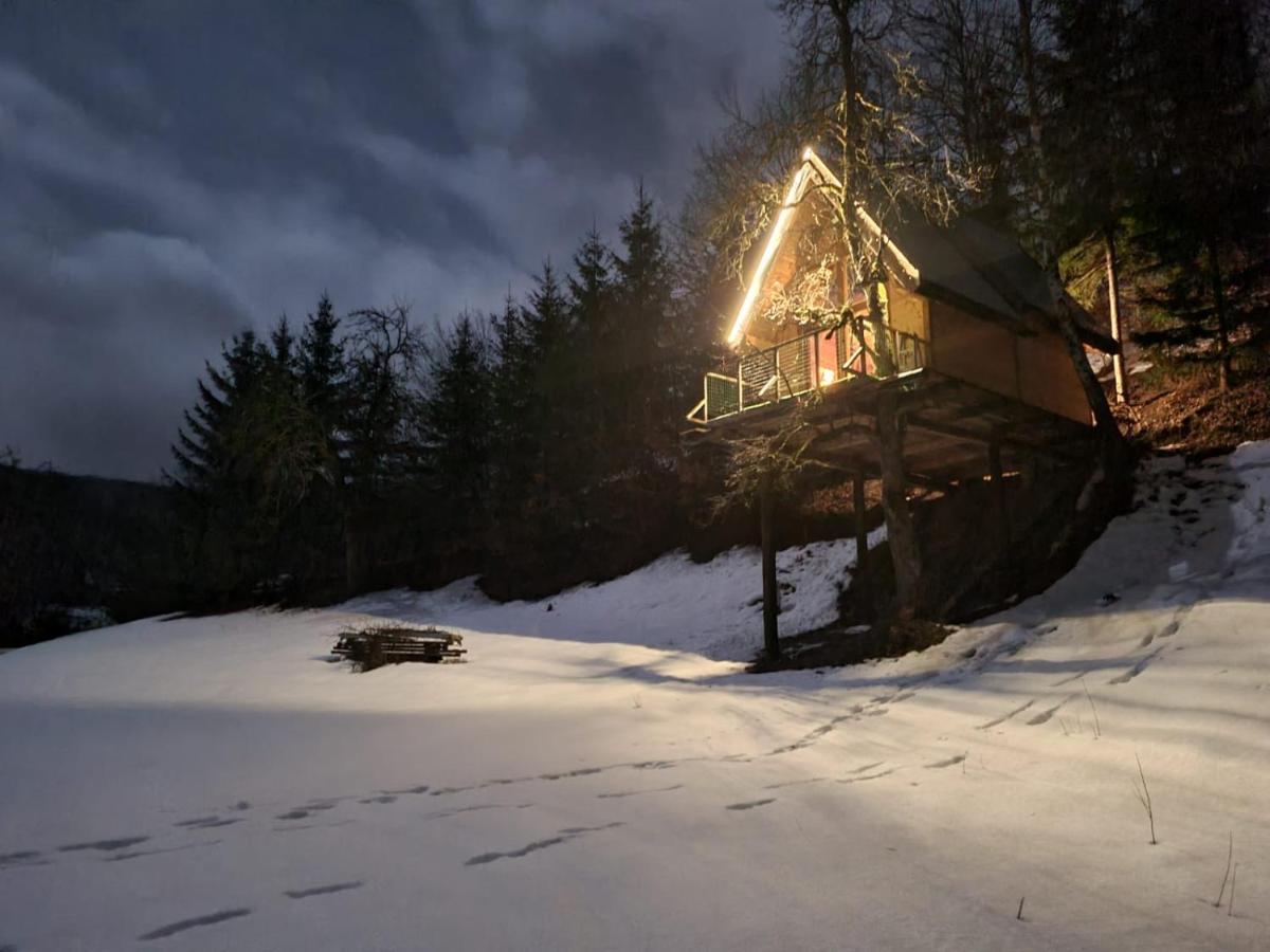 Tree House - Tara Place Mojkovac Dış mekan fotoğraf
