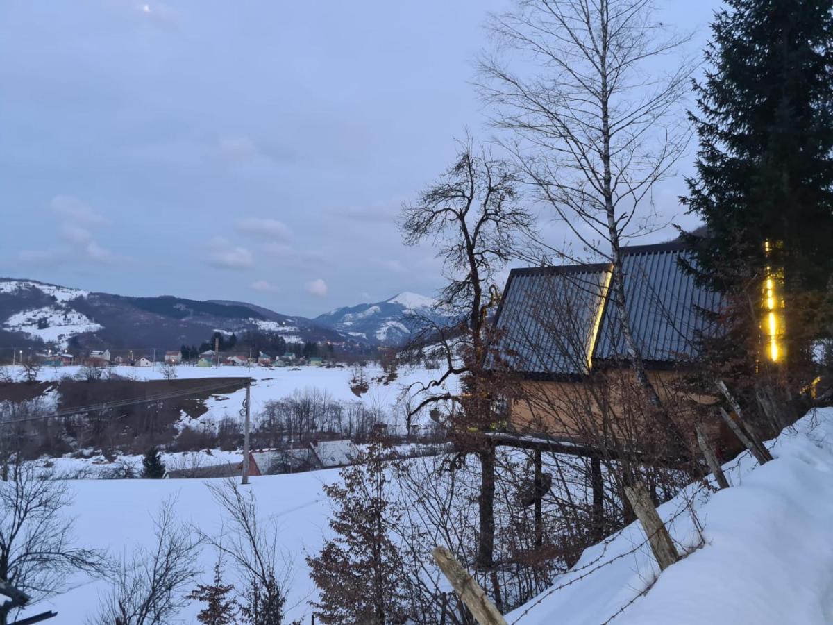 Tree House - Tara Place Mojkovac Dış mekan fotoğraf