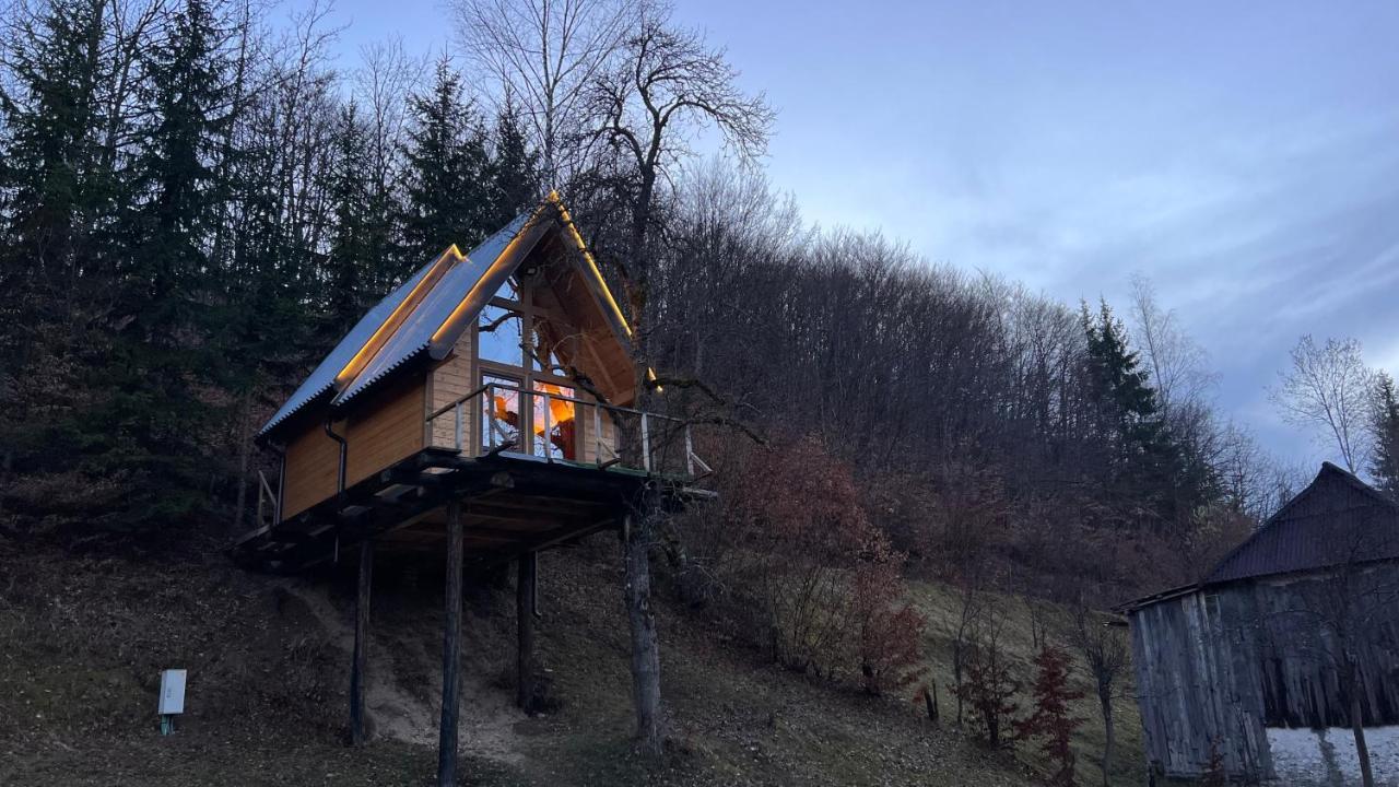Tree House - Tara Place Mojkovac Dış mekan fotoğraf