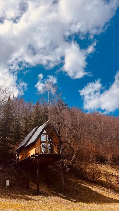 Tree House - Tara Place Mojkovac Dış mekan fotoğraf