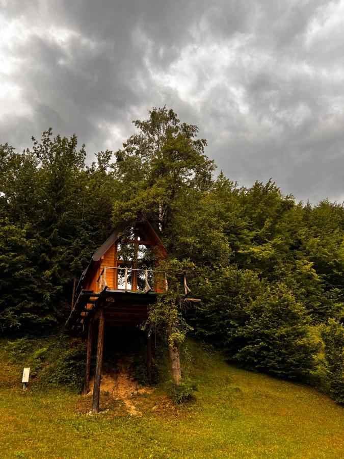 Tree House - Tara Place Mojkovac Dış mekan fotoğraf
