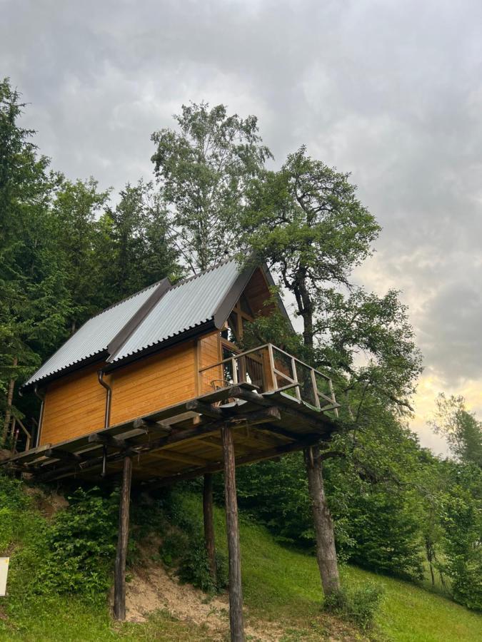 Tree House - Tara Place Mojkovac Dış mekan fotoğraf