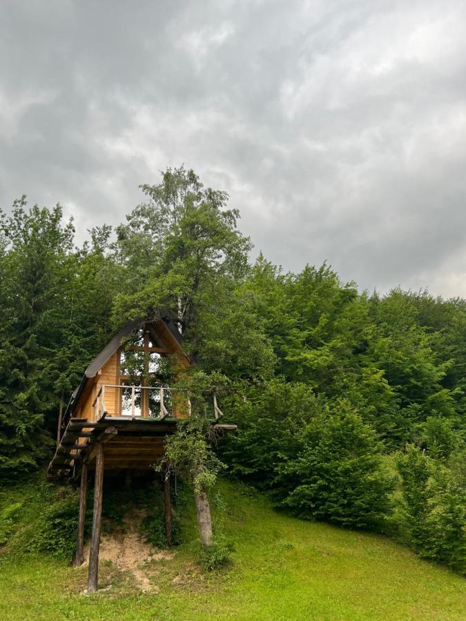 Tree House - Tara Place Mojkovac Dış mekan fotoğraf