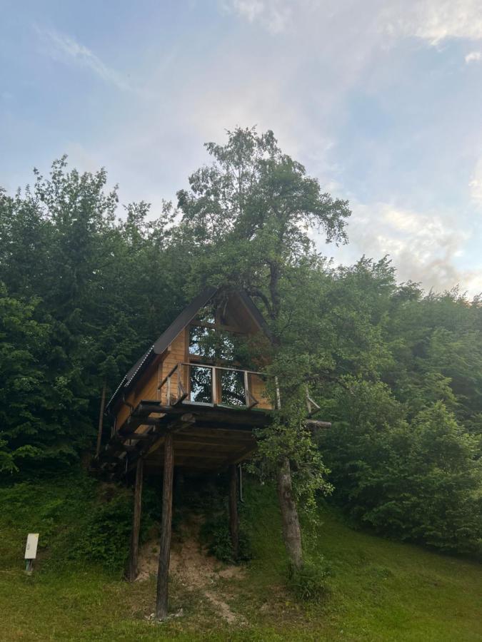 Tree House - Tara Place Mojkovac Dış mekan fotoğraf