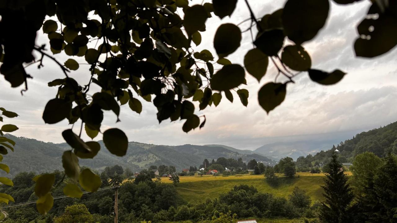 Tree House - Tara Place Mojkovac Dış mekan fotoğraf