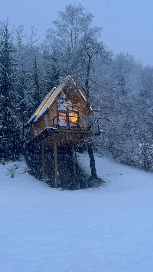 Tree House - Tara Place Mojkovac Dış mekan fotoğraf
