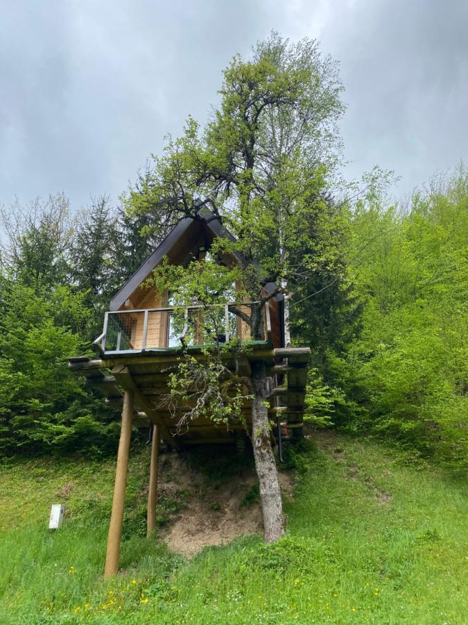 Tree House - Tara Place Mojkovac Dış mekan fotoğraf