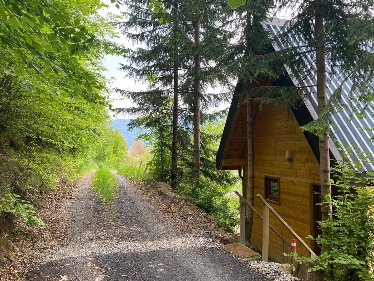 Tree House - Tara Place Mojkovac Dış mekan fotoğraf